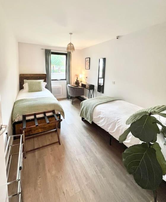 Gorgeous Flat 10 Min Walk To Stadium Free Parking London Ngoại thất bức ảnh